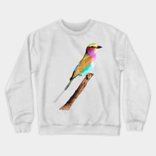 Colourful Lilac-breasted Roller Crewneck Sweatshirt